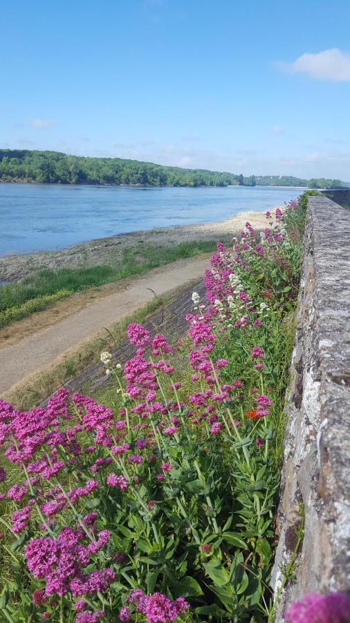 Le Cosy Loire Appart Apartment Les Rosiers Екстериор снимка